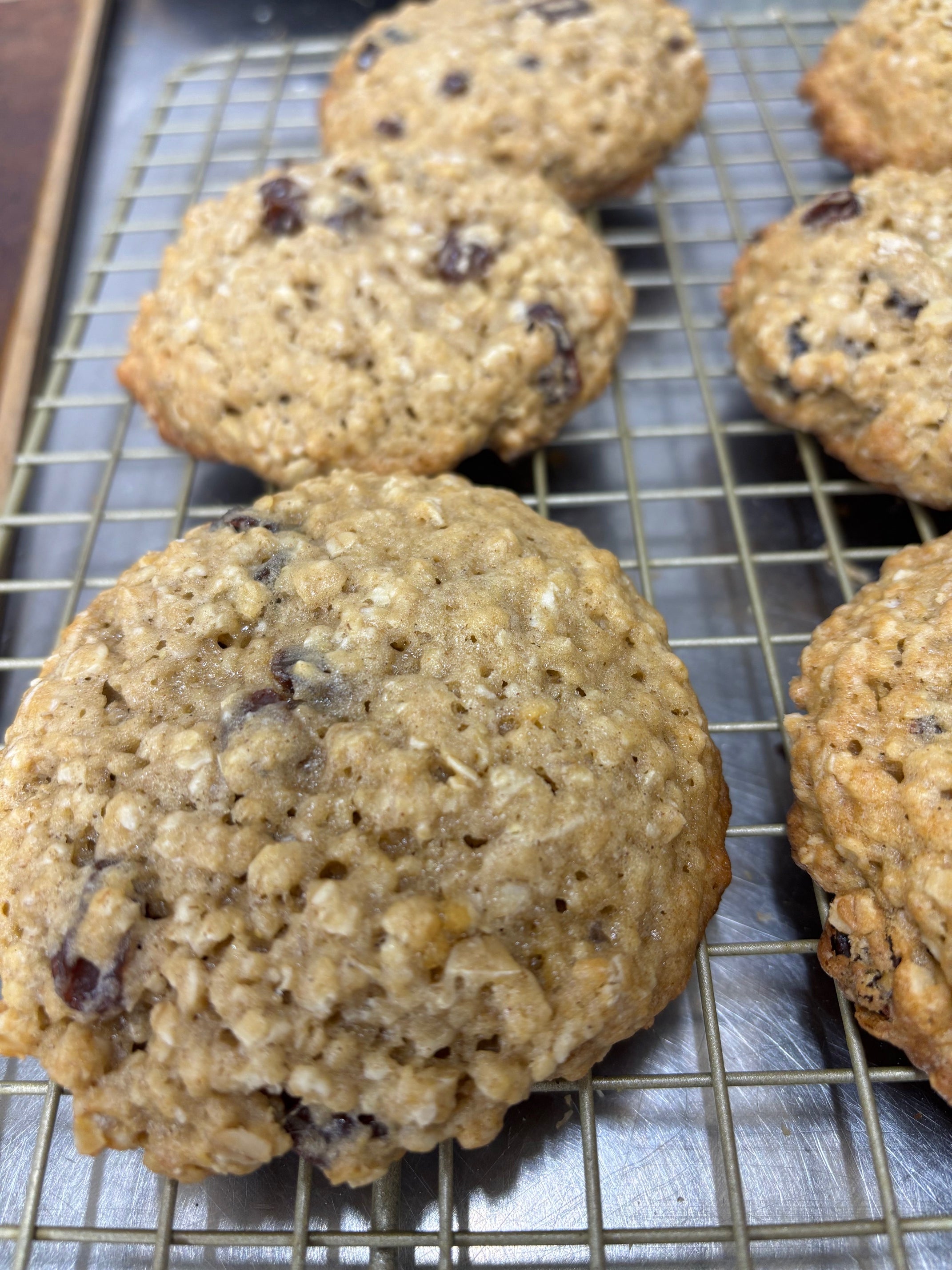 Sourdough Oatmeal Raisin Cookies